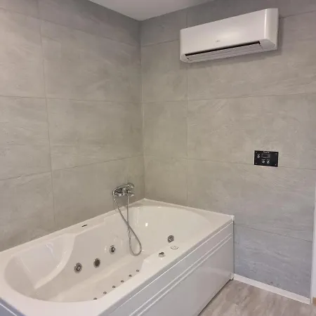 בית הארחה Swan