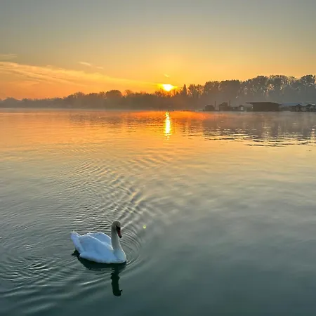 Swan ゲストハウス 4*